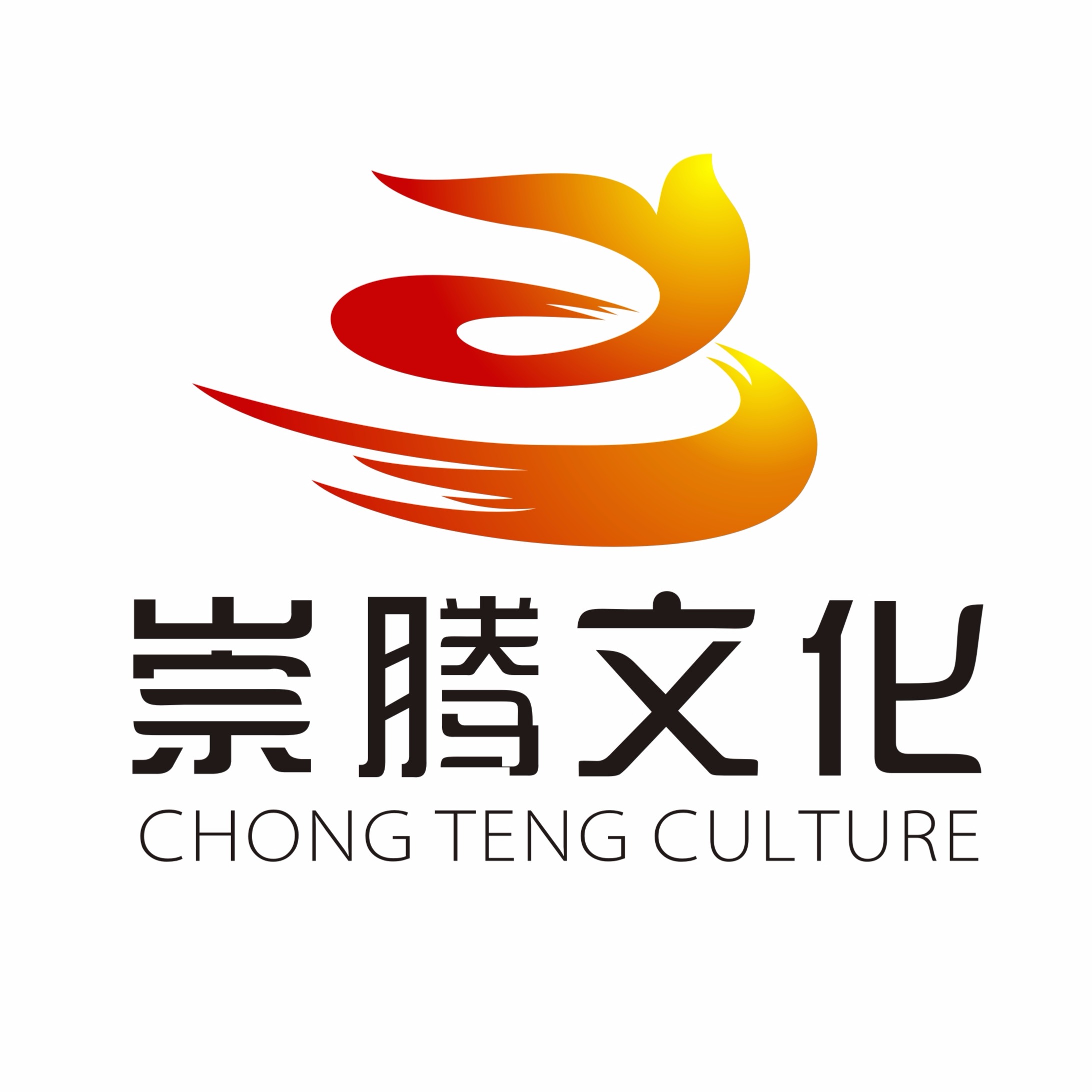 南宁崇腾文化传播有限公司